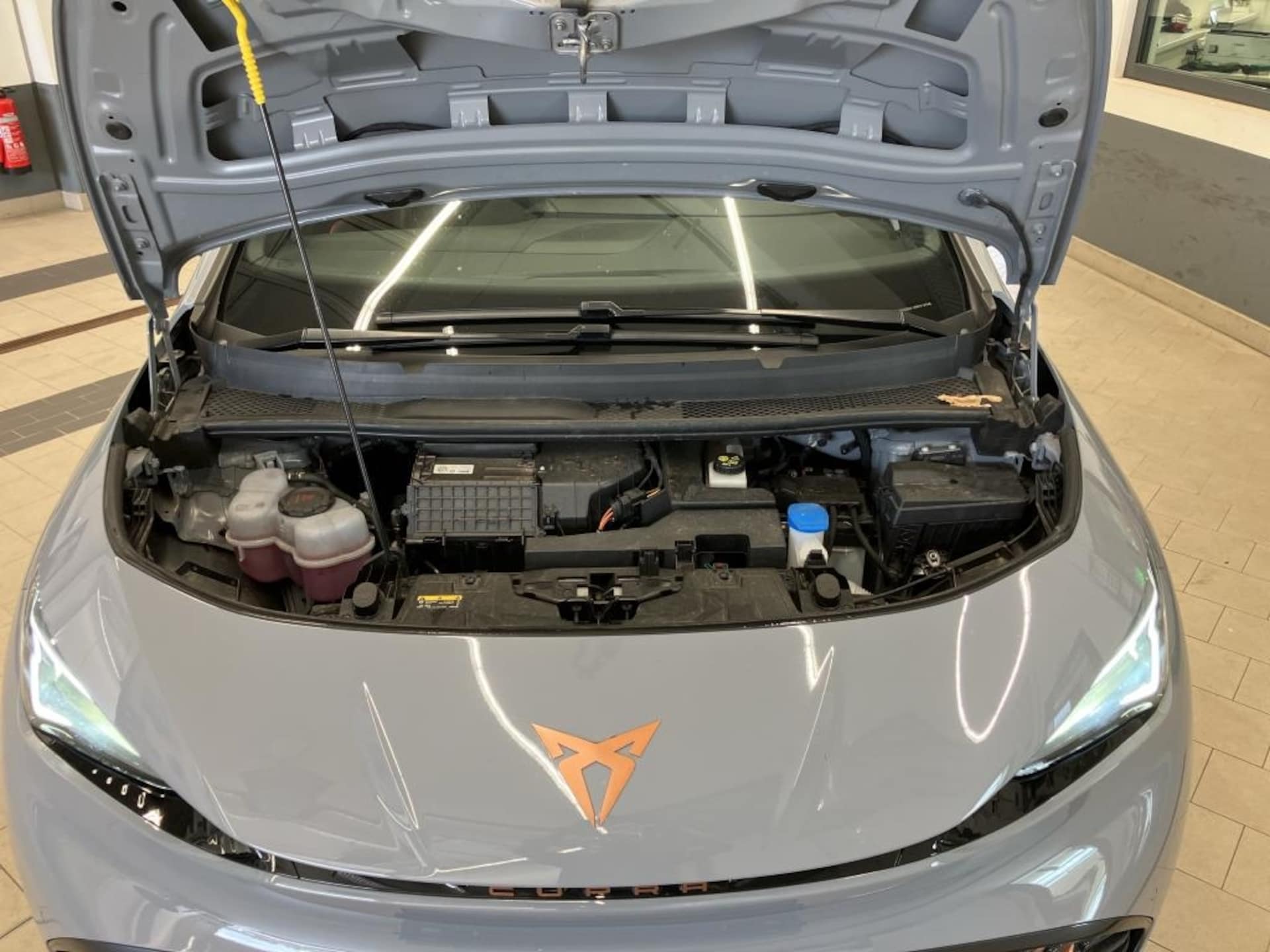 CUPRA Born