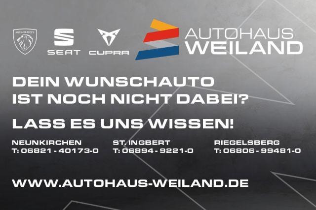Bild des Autos 15