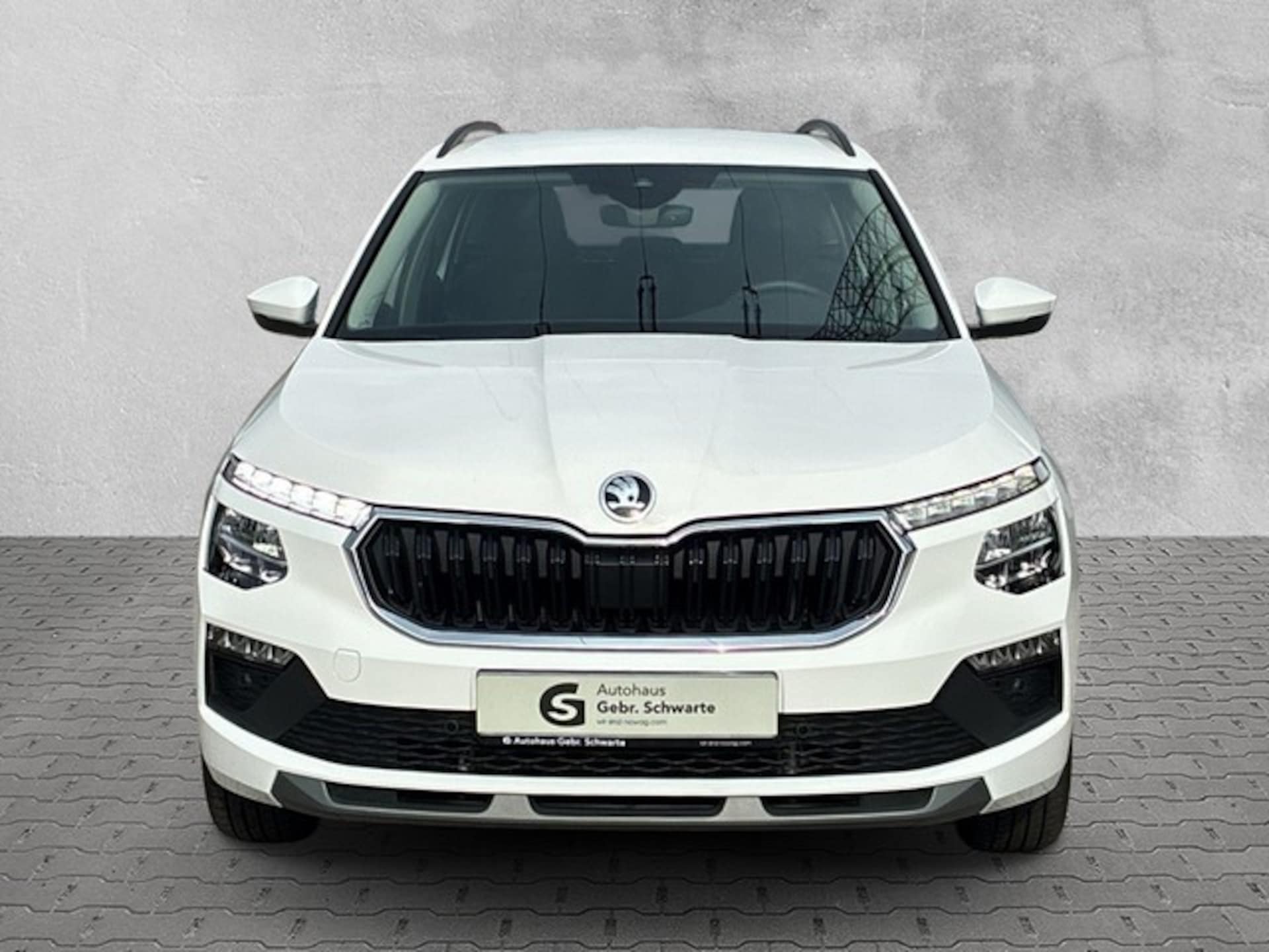 Skoda Kamiq Selection
