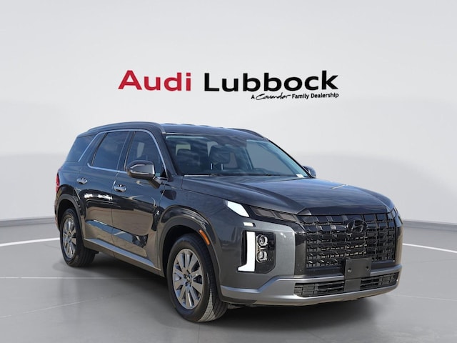 Photo of 2025 Hyundai Palisade