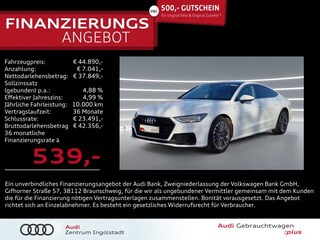 erstes Vorschaubild