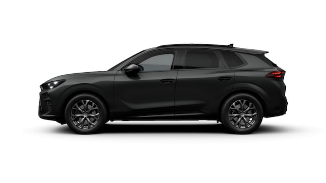 Bild des Autos 6
