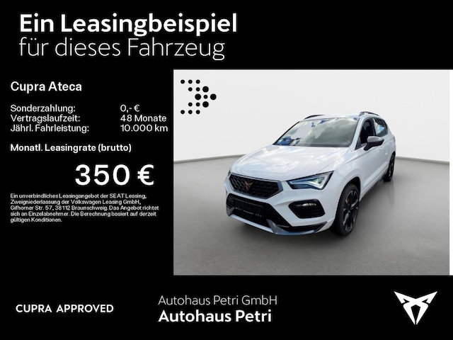 Bild des Autos 2