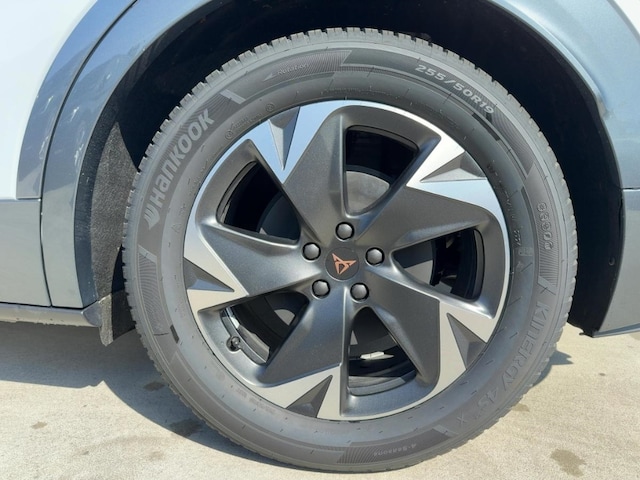 Bild des Autos 12
