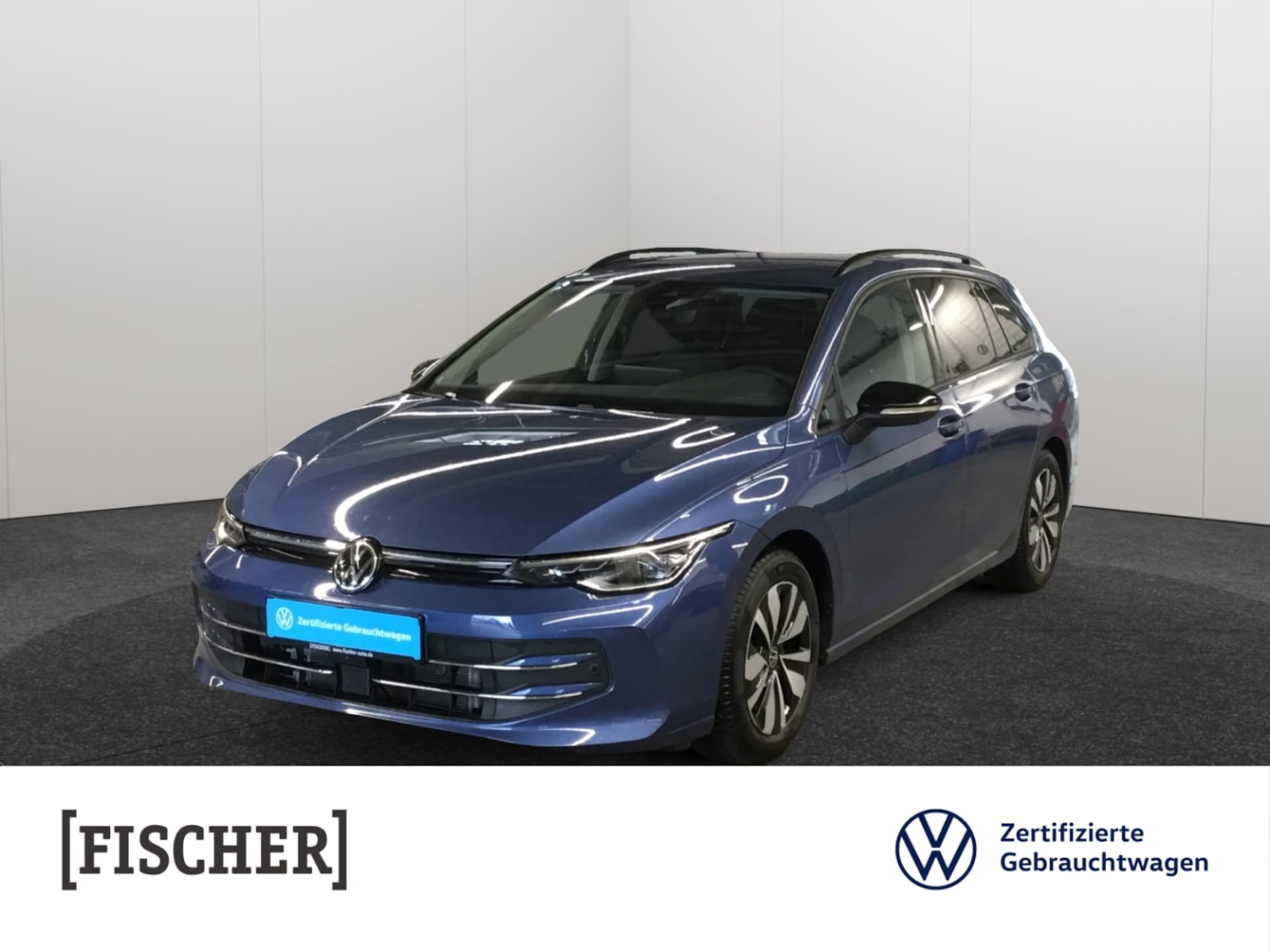 Volkswagen Golf Variant Goal