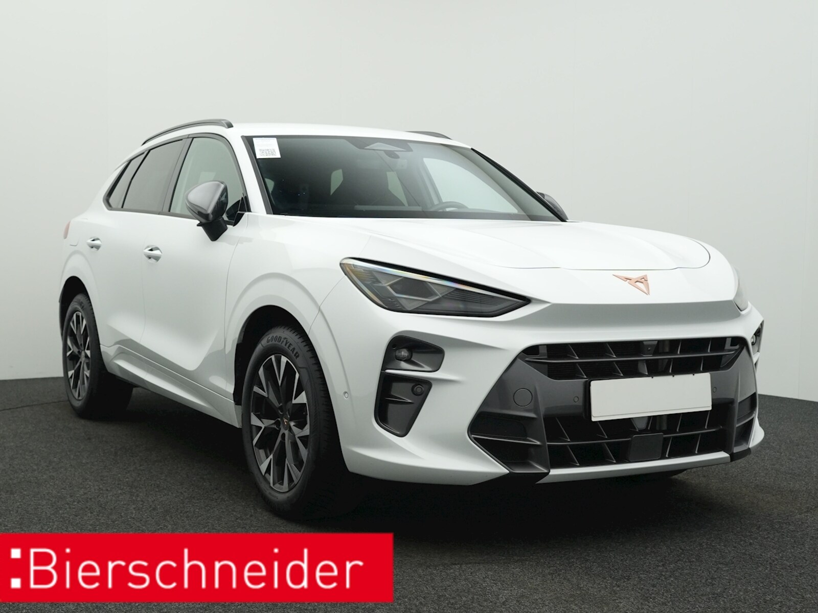 CUPRA Terramar – Bild 9