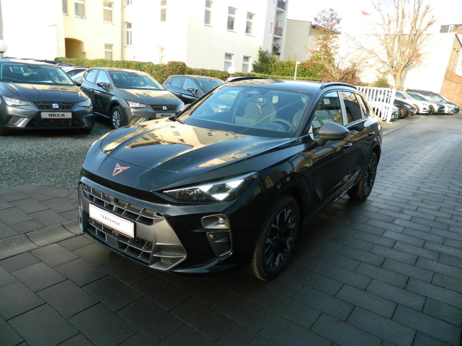 CUPRA Terramar – Bild 3
