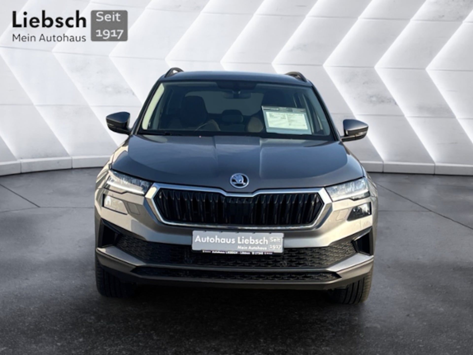Skoda Karoq Style