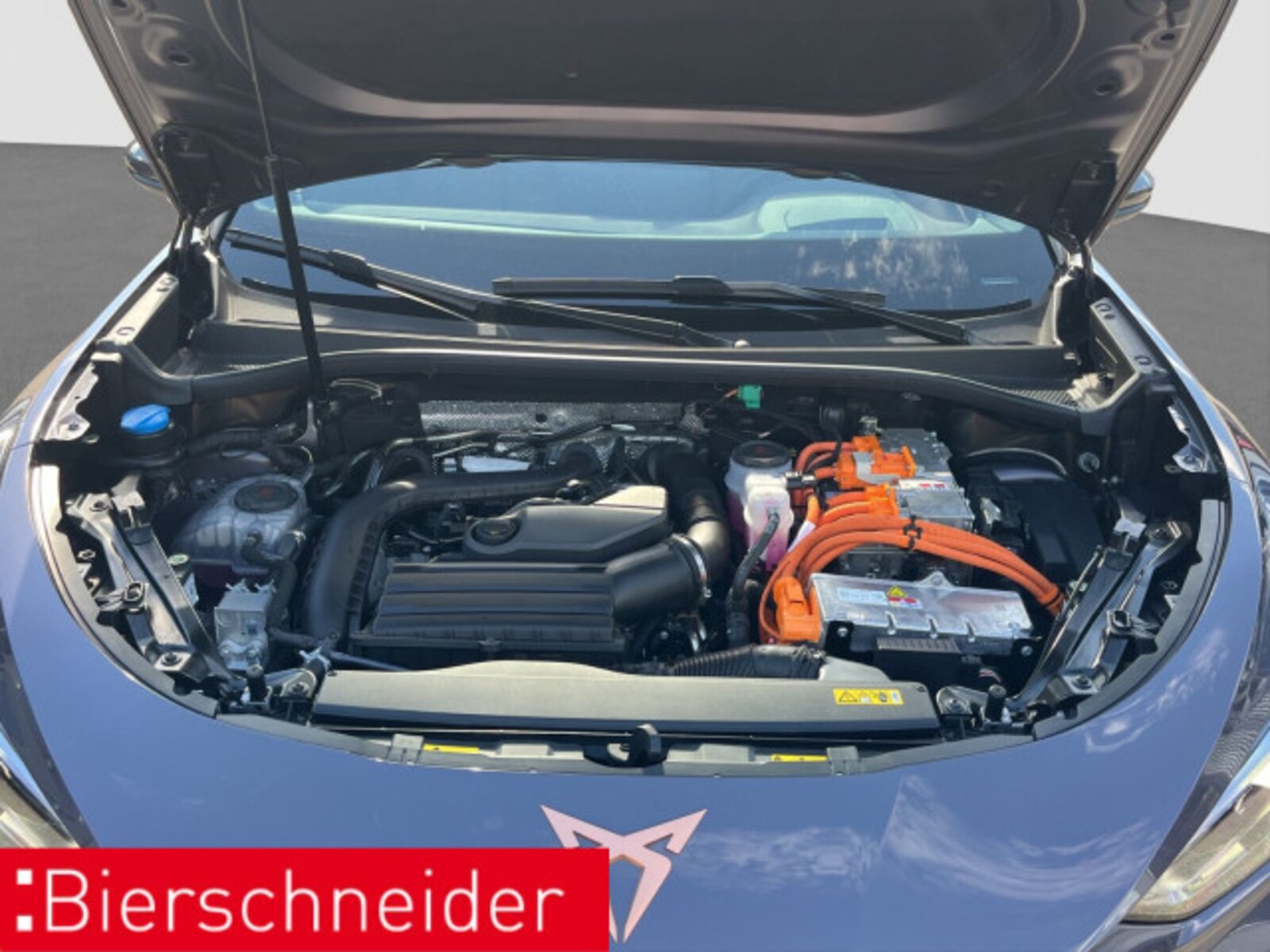 CUPRA Terramar – Bild 20