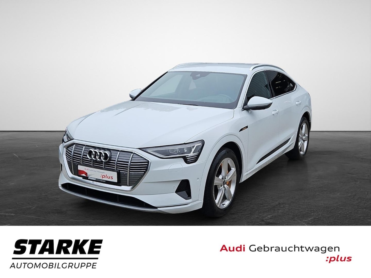 Audi e-tron occasion