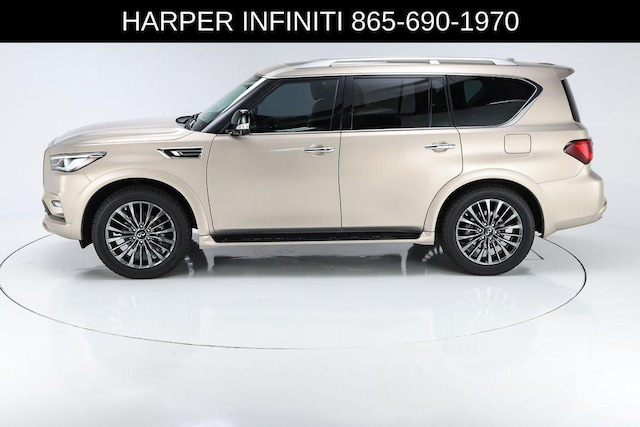 2023 Infiniti QX80