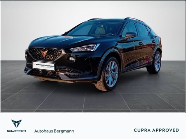 CUPRA Formentor 1.5 TSI DSG*Navi*LED*BeatsAudio*Navi* (228_2810)