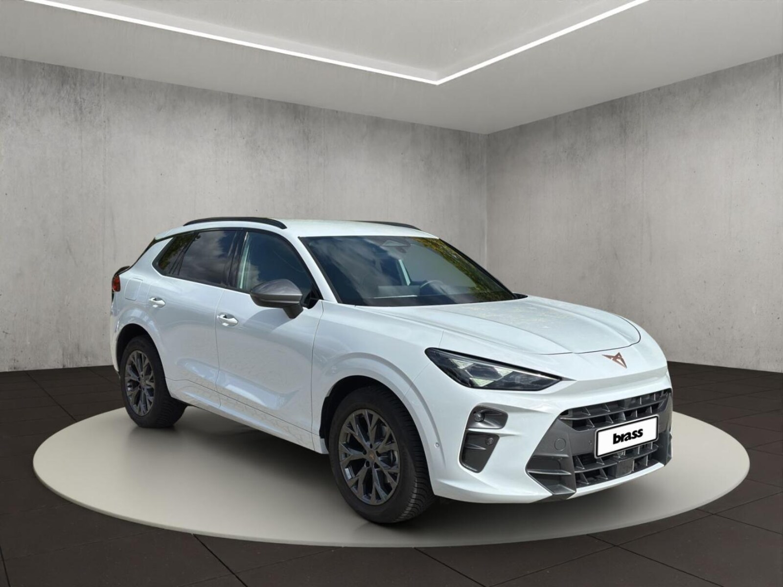 CUPRA Terramar – Bild 7
