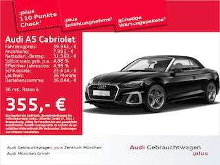erstes Vorschaubild