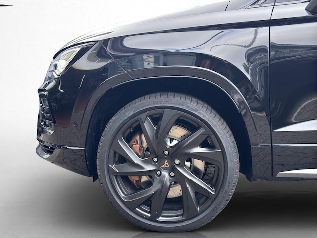 Bild des Autos 13