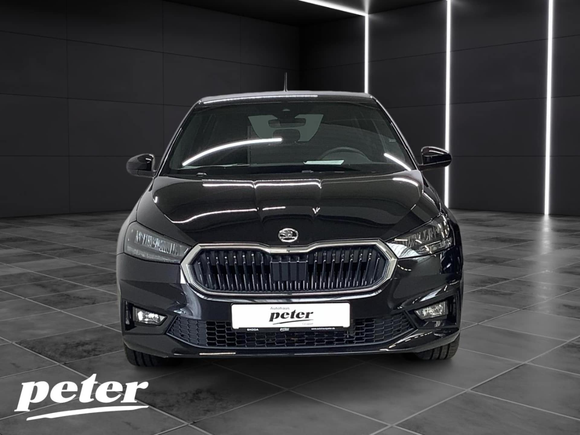 Skoda Fabia Selection