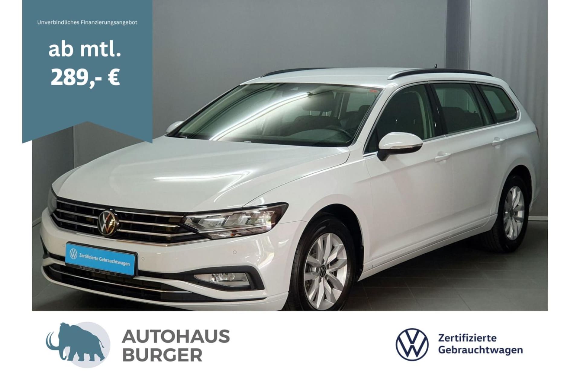 Volkswagen Passat Variant Business