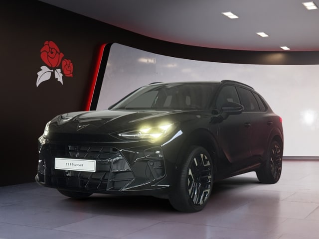 Bild des Autos 2
