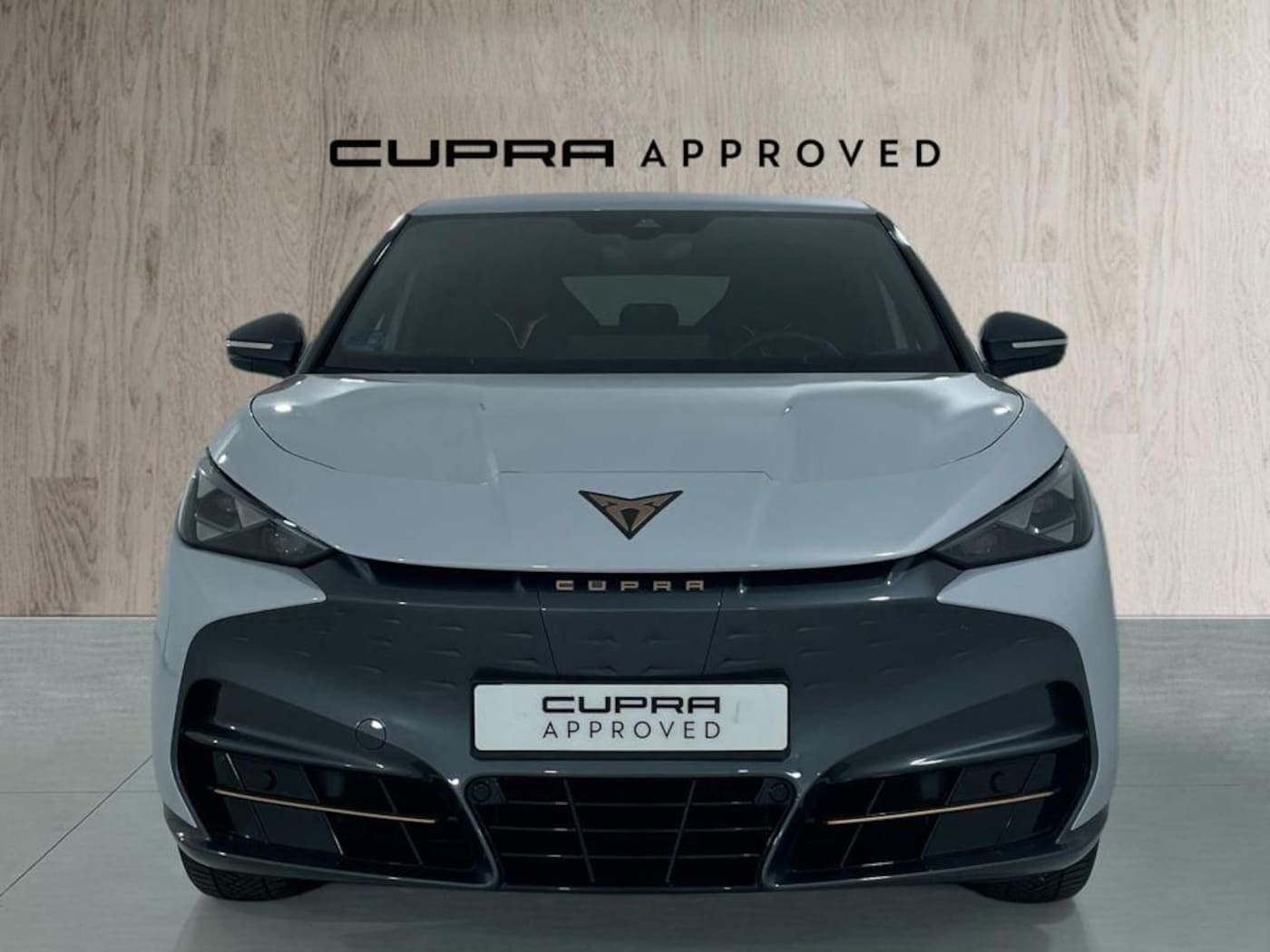 CUPRA Tavascan 77kWh Endurance 210 kW (286 CV) — photo 12