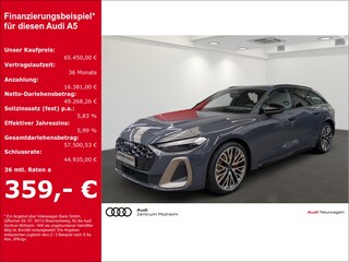 erstes Vorschaubild
