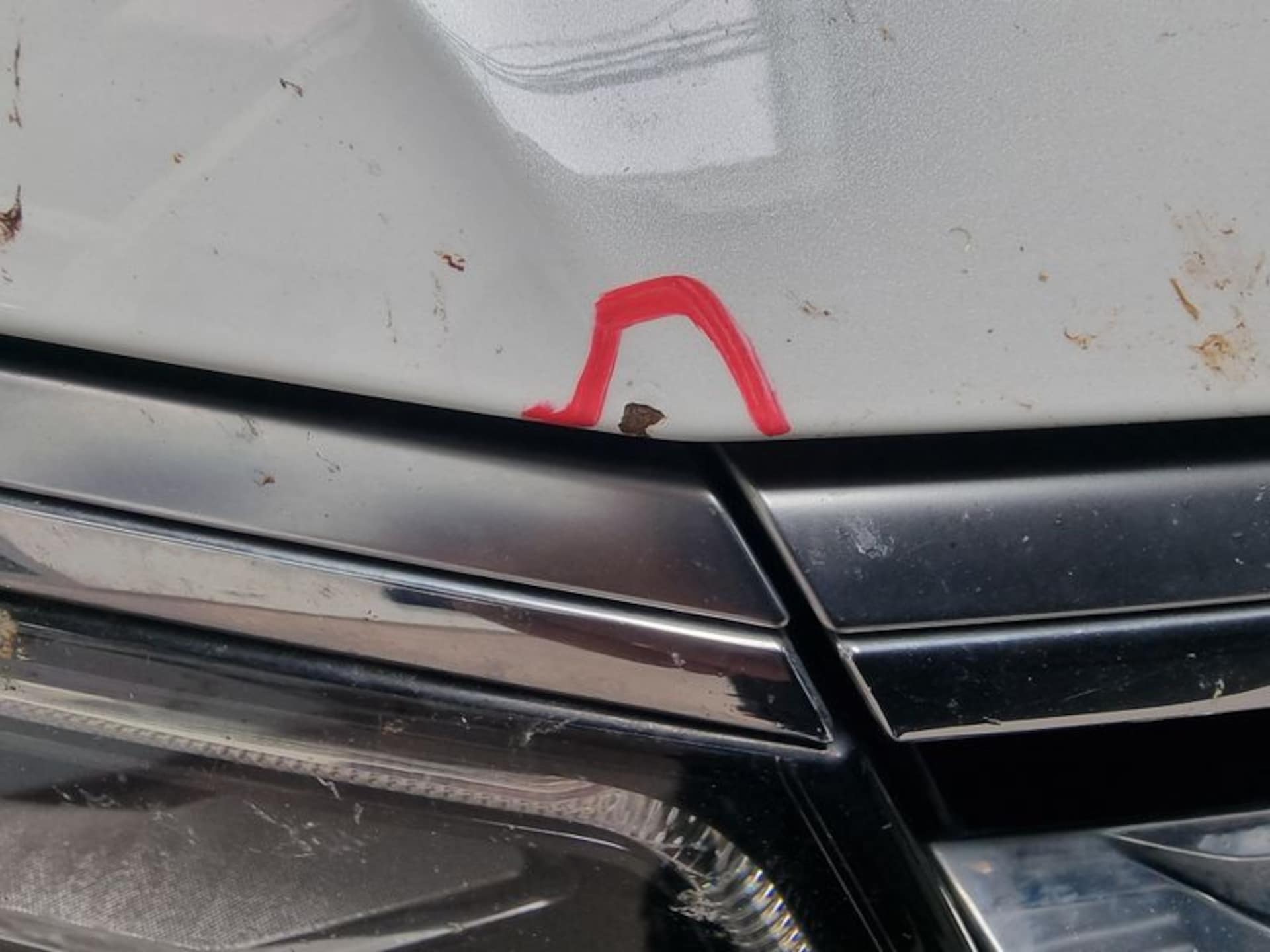 Volkswagen Tiguan Highline