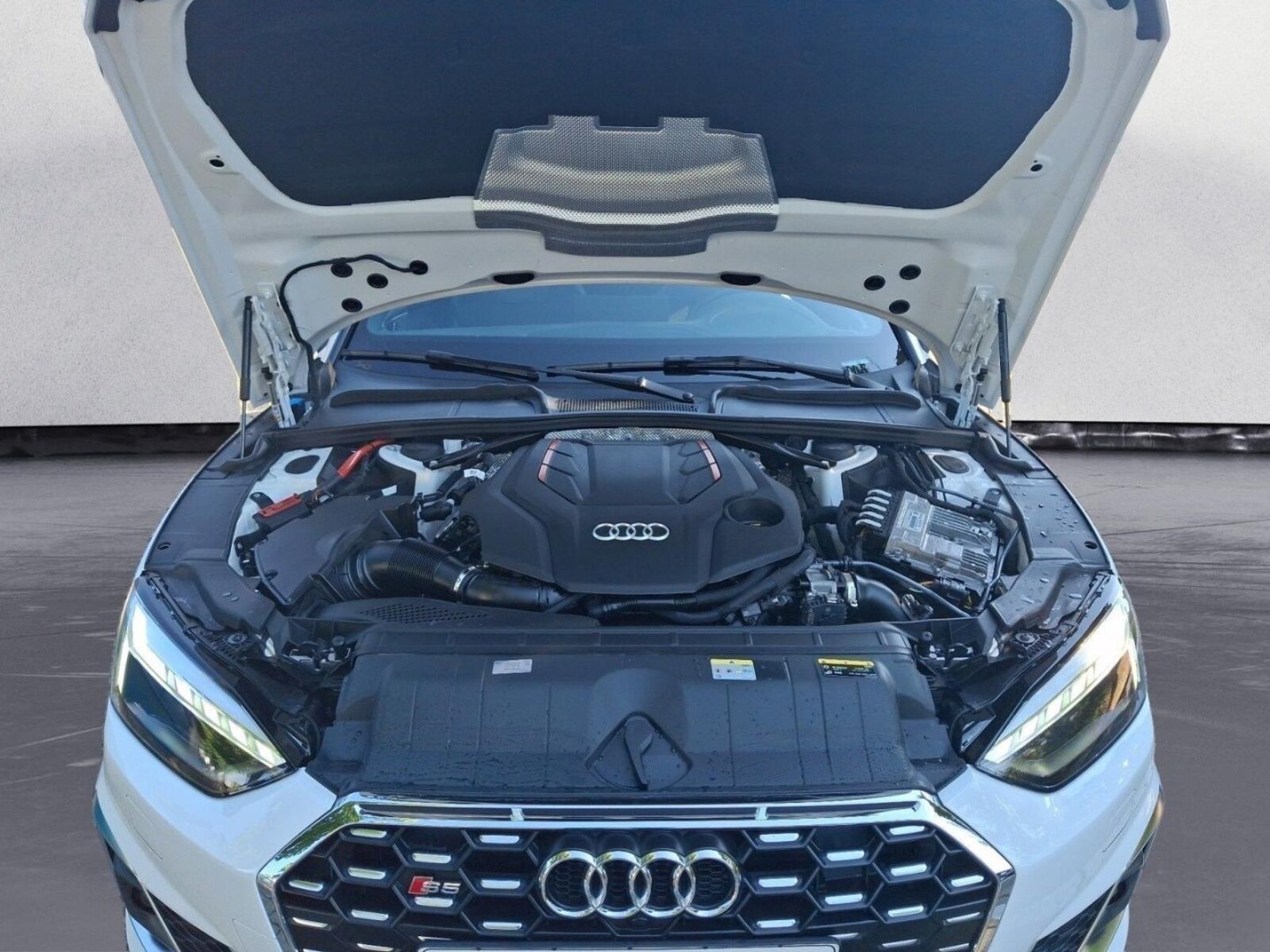 Audi S5 Cabriolet – Bild 16