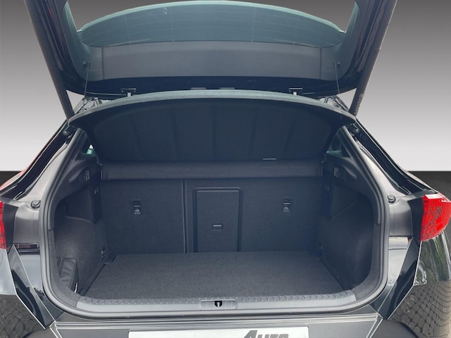 Bild des Autos 13