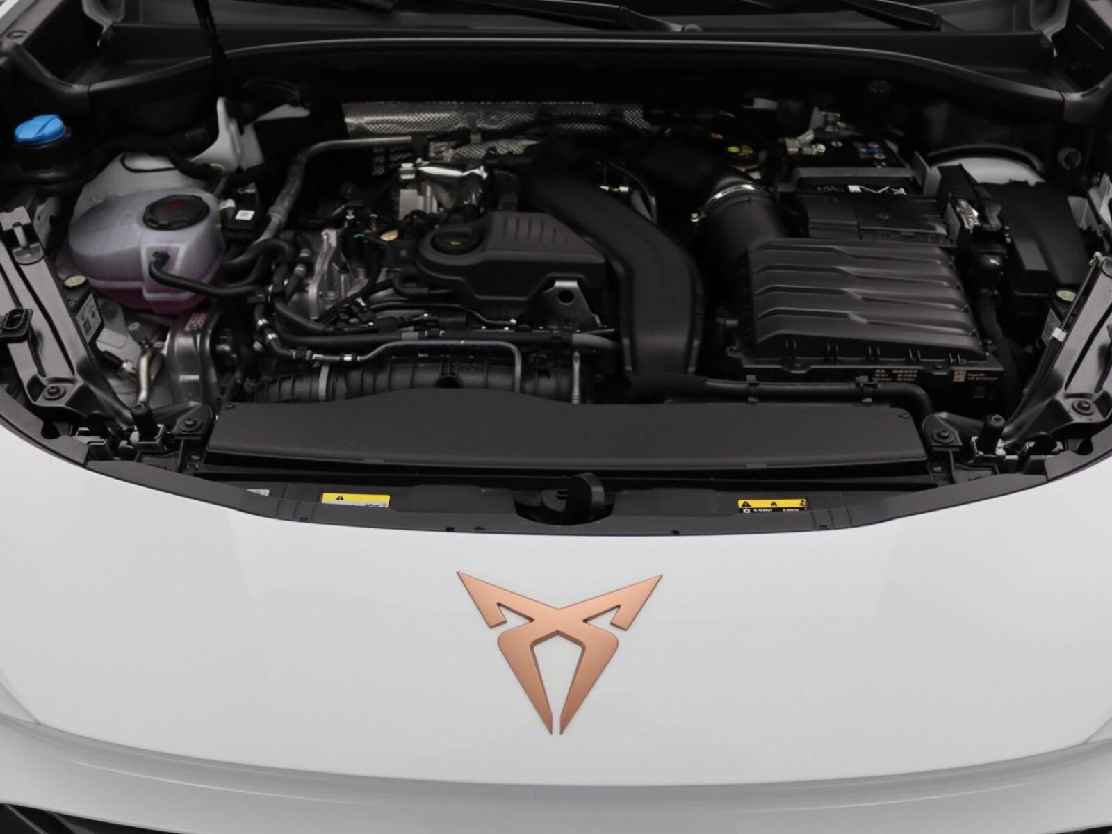 CUPRA Terramar – Bild 18