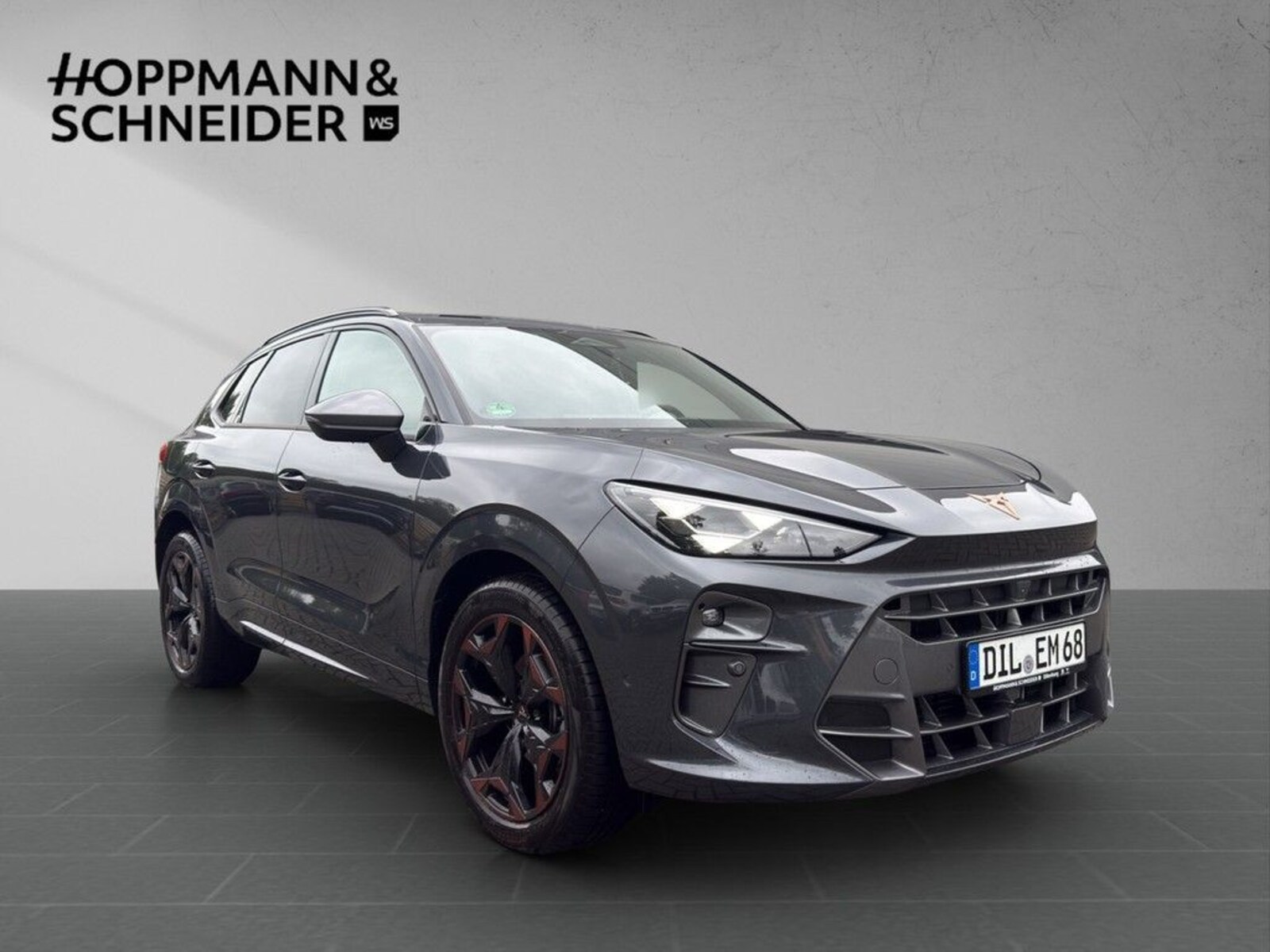 CUPRA Terramar – Bild 8