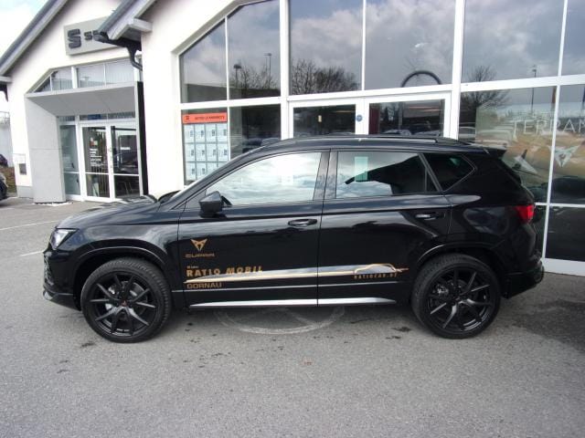 Bild des Autos 13