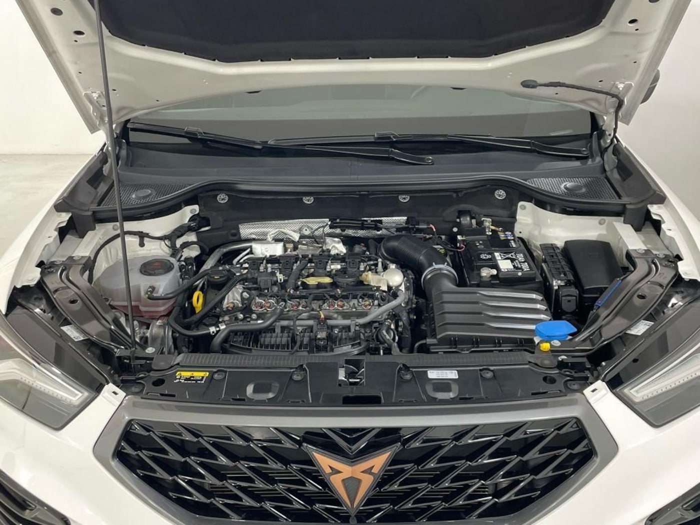 CUPRA Ateca 2.0 TSI 4Drive DSG 140 kW (190 CV) — photo 15
