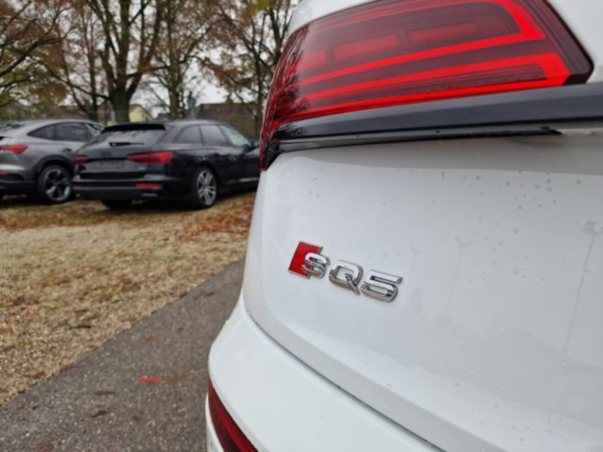 Audi SQ5 SUV