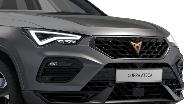 Bild des Autos 8
