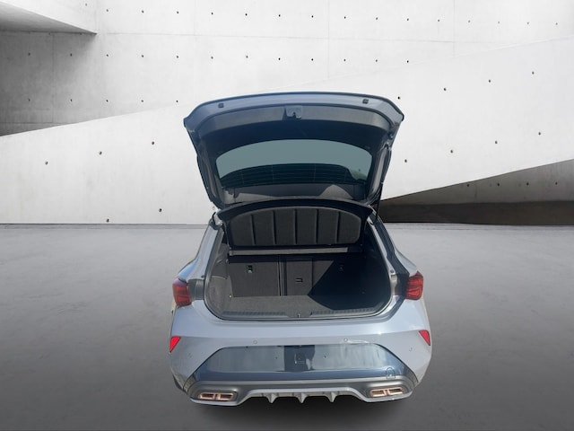 Bild des Autos 12