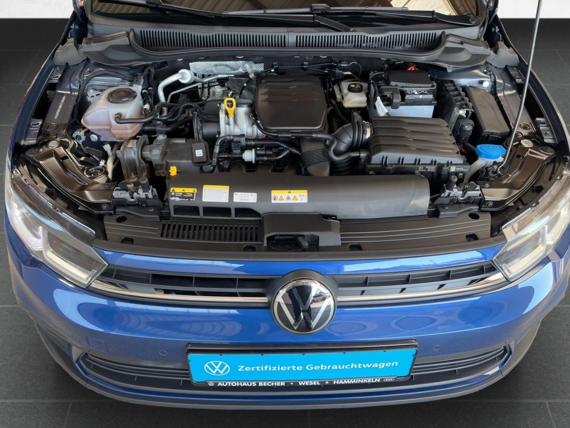 Volkswagen Polo Life