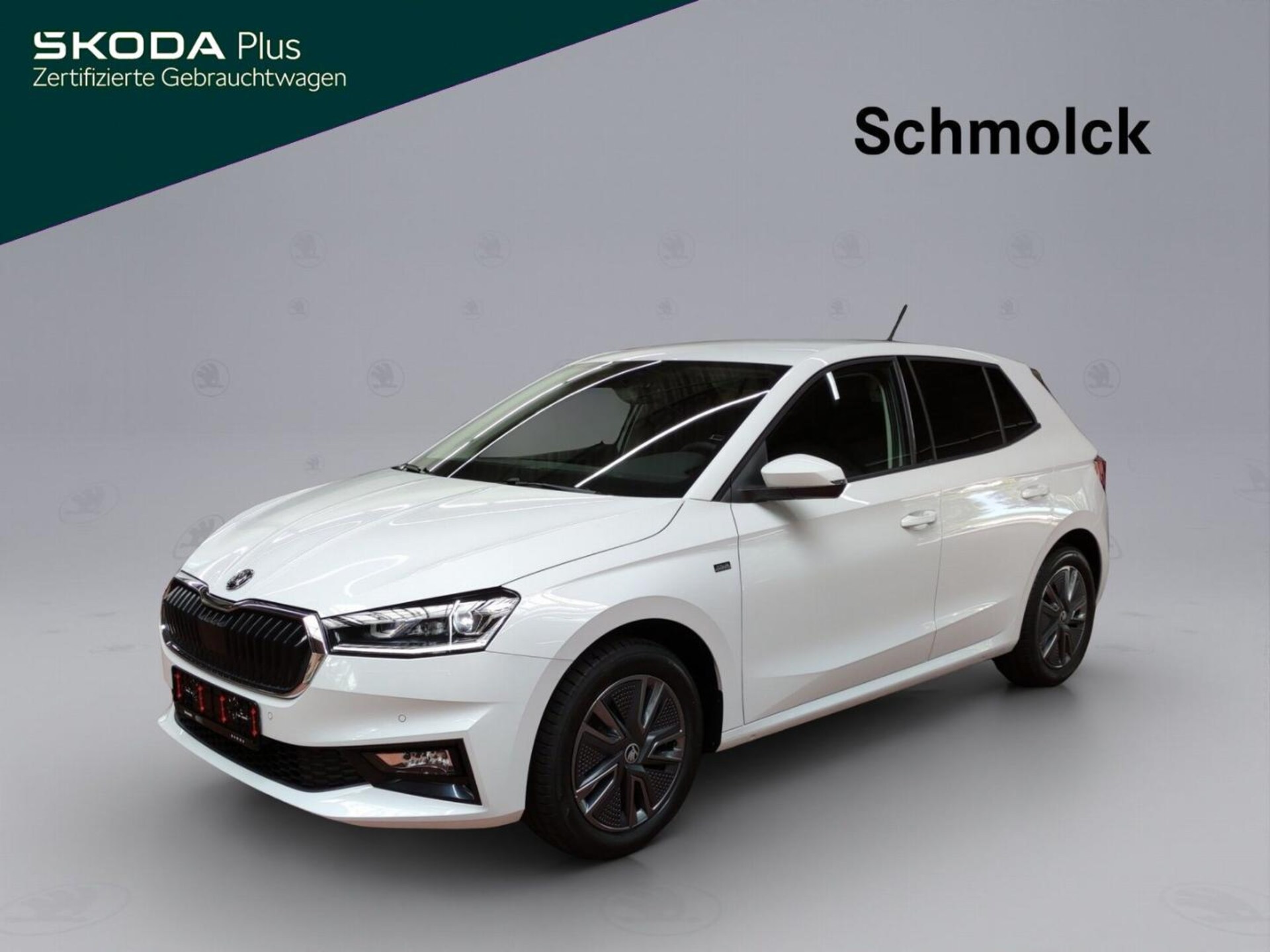 Skoda Fabia Tour