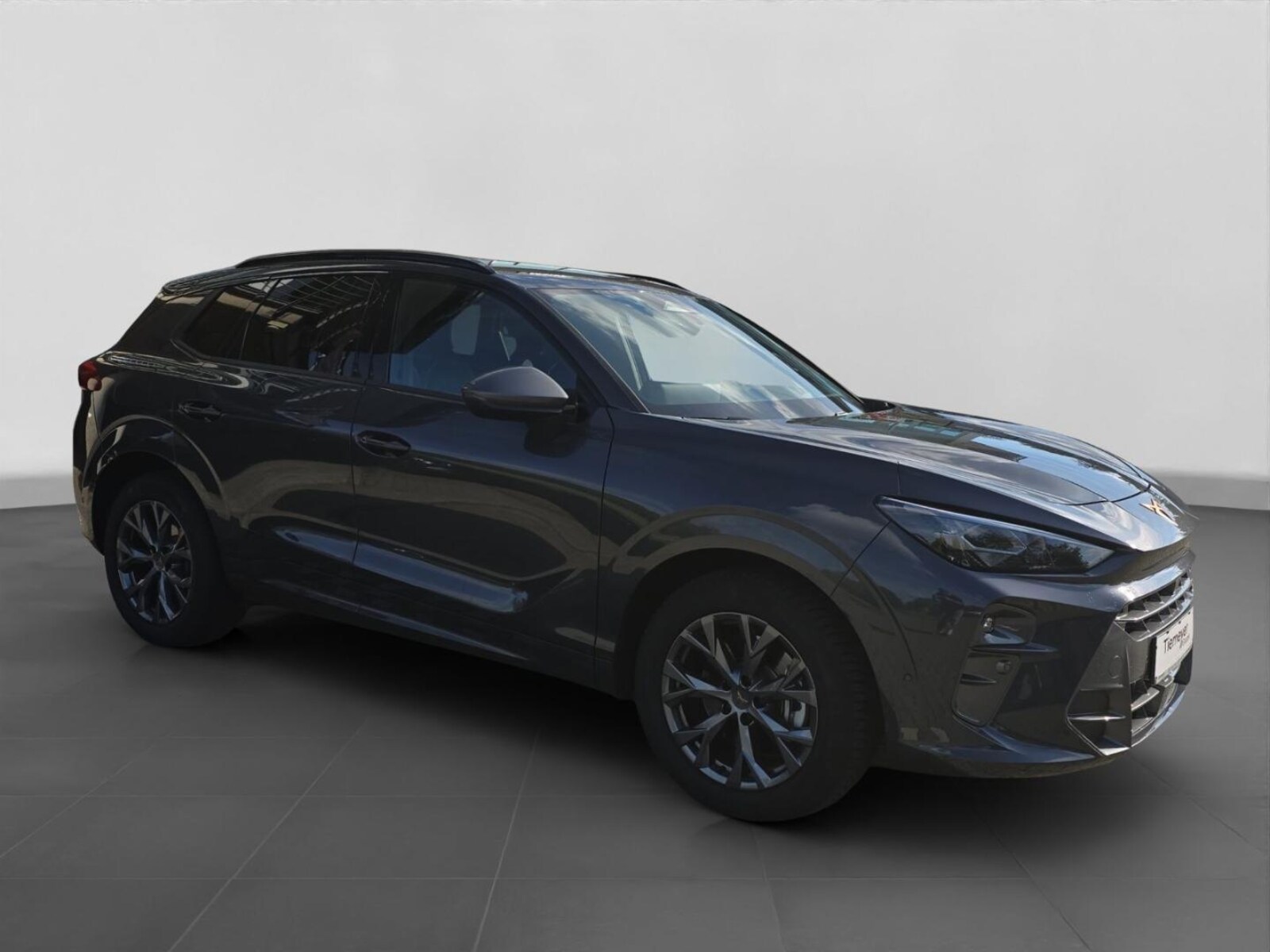 CUPRA Terramar – Bild 3