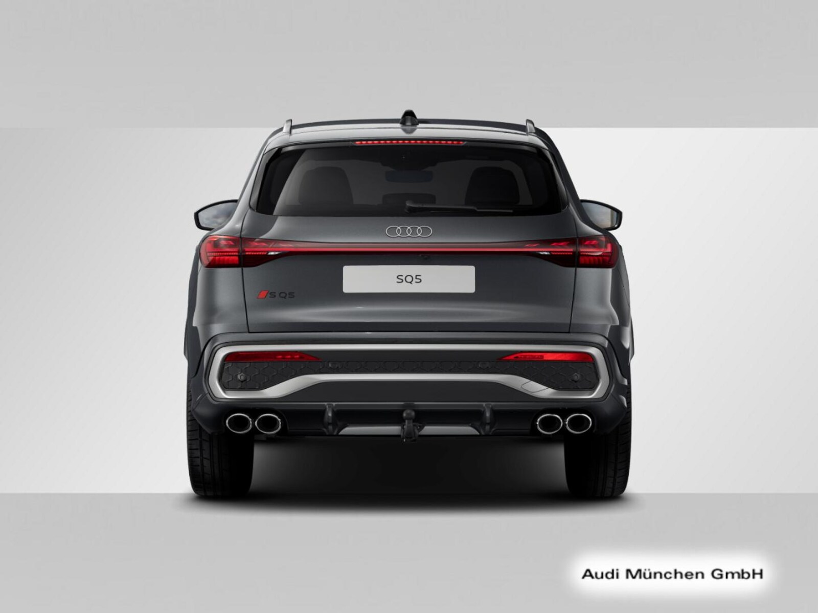 Audi SQ5 – Bild 6