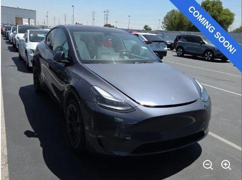 2023 Tesla Model Y Long Range Dual Motor All-Wheel Drive's photo