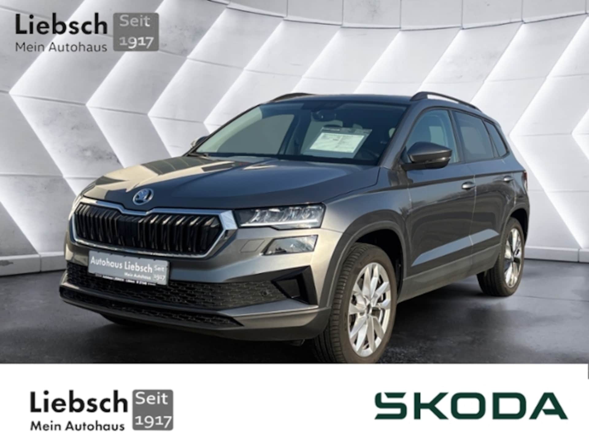 Skoda Karoq Style