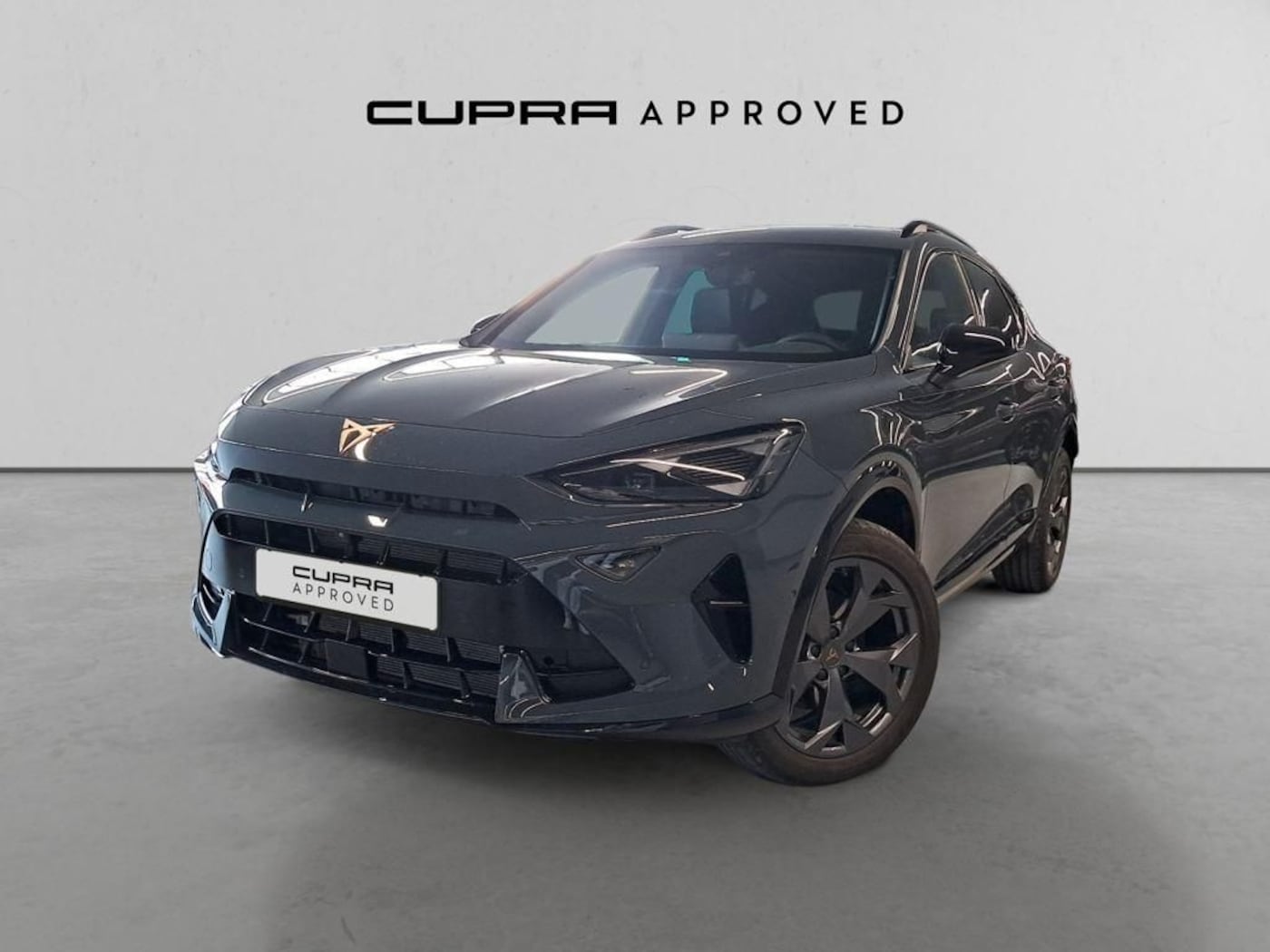 CUPRA Formentor 1.5 TSI e-Hybrid DSG 150 kW (204 CV) — photo 13