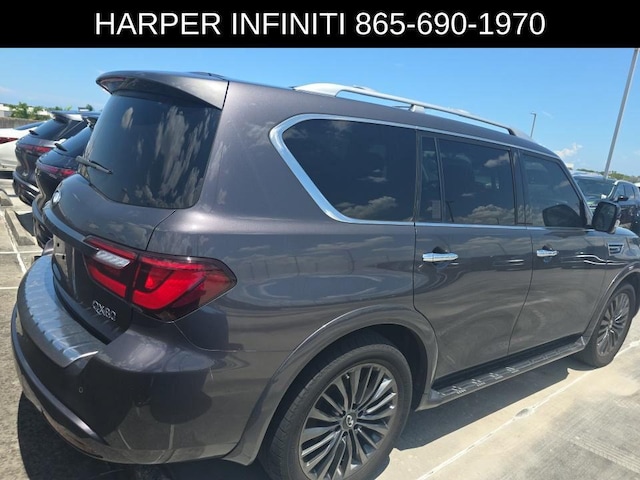 2023 Infiniti QX80