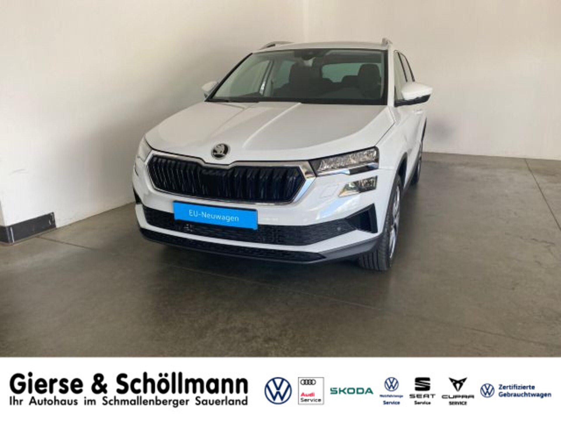 Skoda Karoq Selection