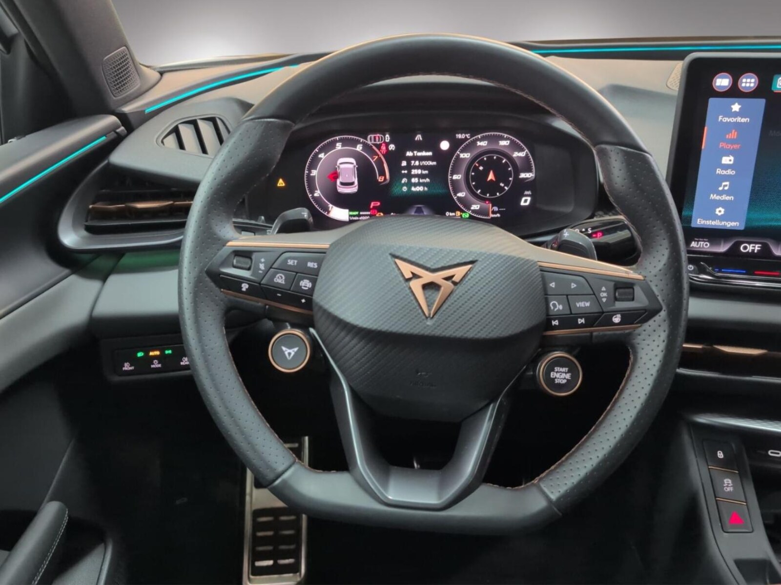 CUPRA Terramar – Bild 8