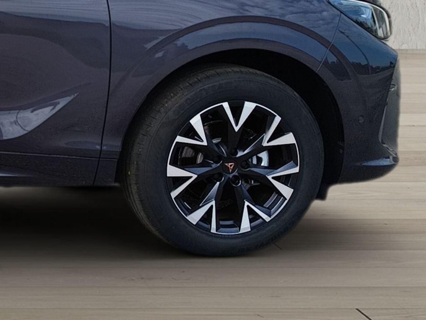 CUPRA Terramar 1.5 eTSI DSG 110 kW (150 CV) — photo 8