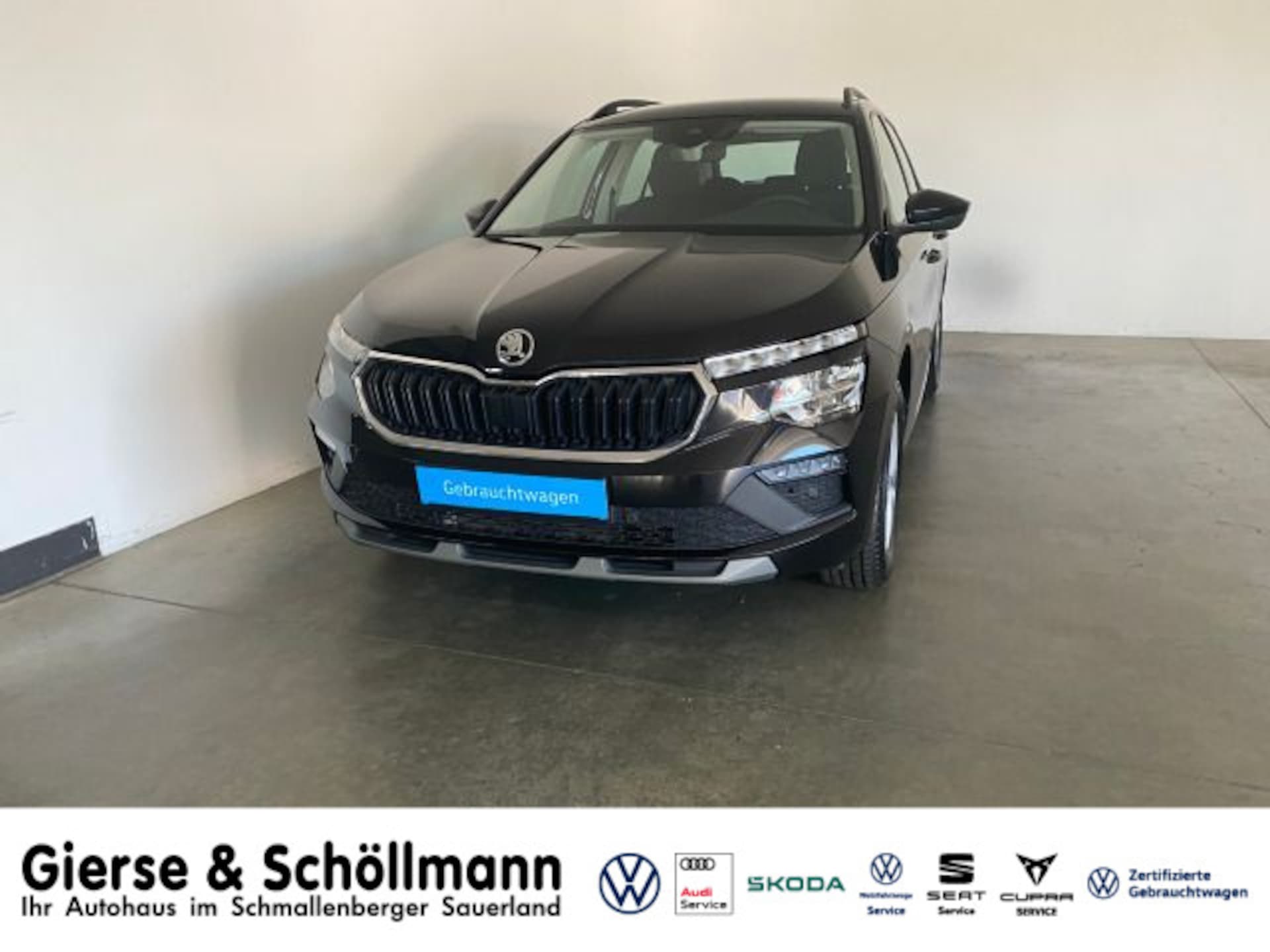 Skoda Kamiq Selection