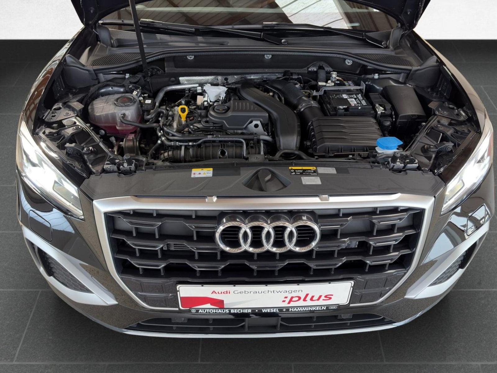 Audi Q2 – Bild 18