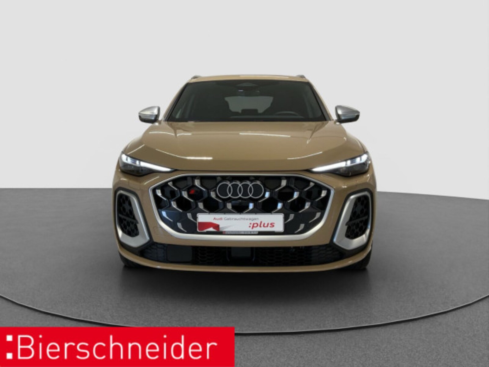 Audi SQ5 – Bild 6