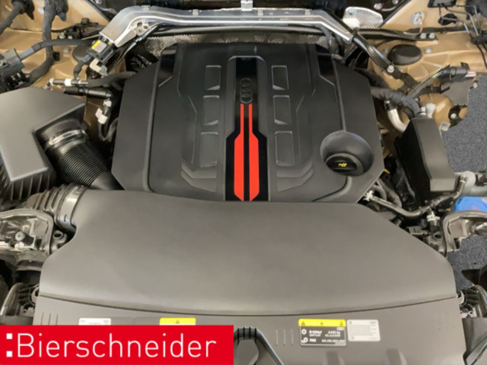 Audi SQ5 – Bild 16