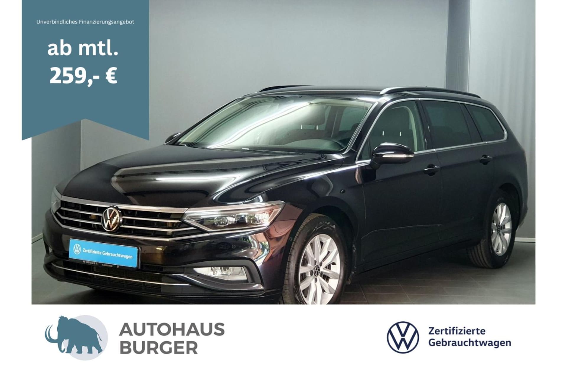 Volkswagen Passat Variant Business